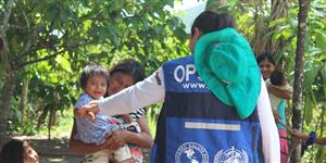 PAHO Org