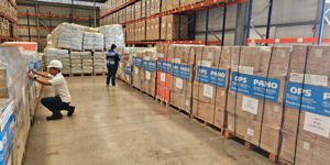 PAHO ramps up support to Caribbean health systems one  ...